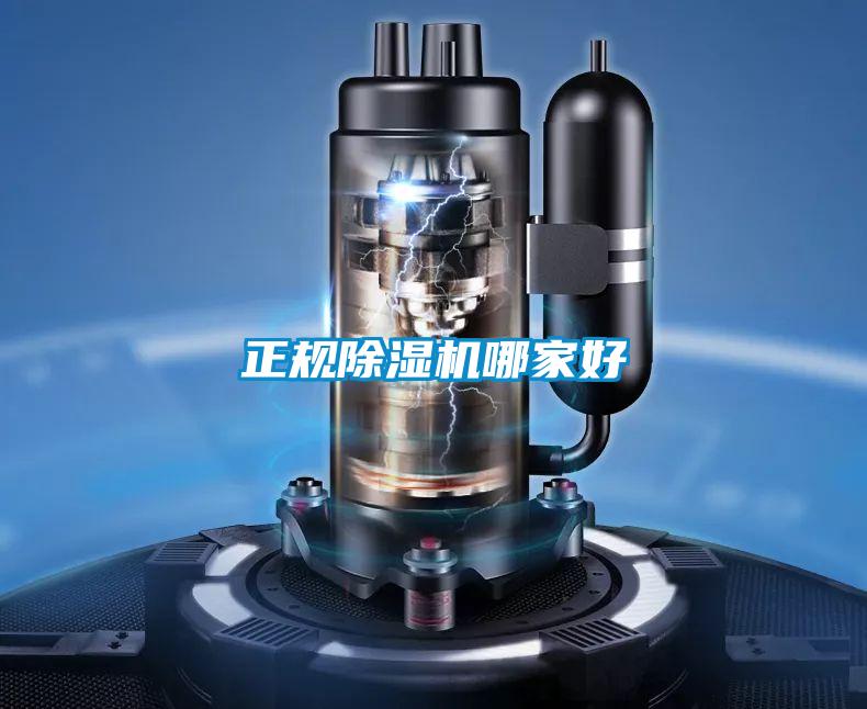 正規91视频链接下载哪家好