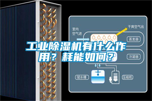 工業91视频链接下载有什麽作用？耗能如何？