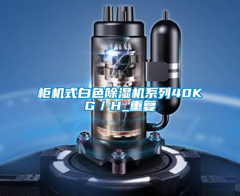 櫃機式白色91视频链接下载係列40KG/H_重複