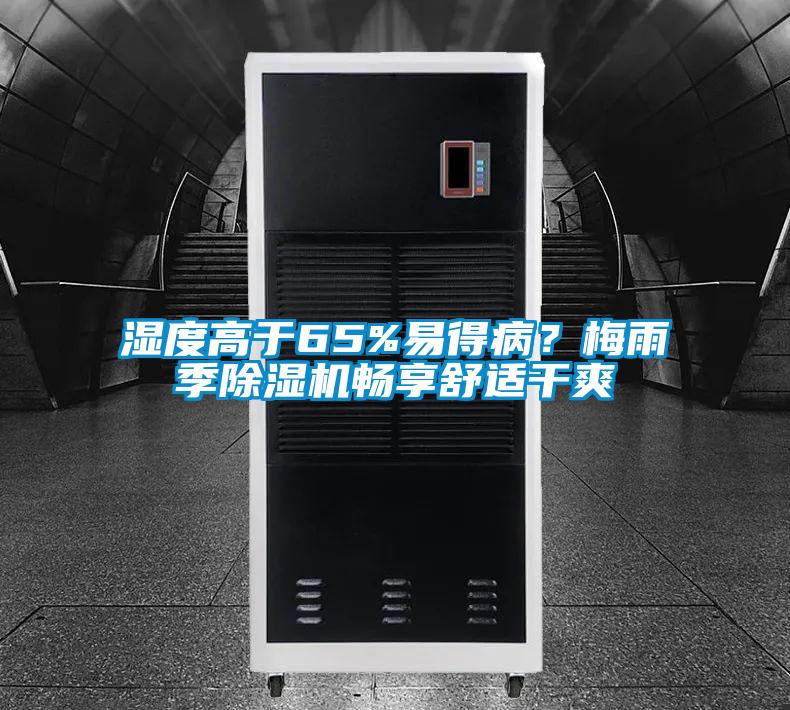 濕度高於65%易得病？梅雨季91视频链接下载暢享舒適幹爽