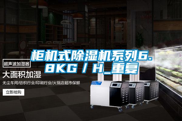 櫃機式91视频链接下载係列6.8KG/H_重複