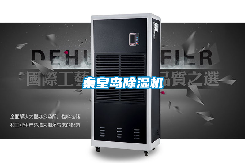 秦皇島91视频链接下载