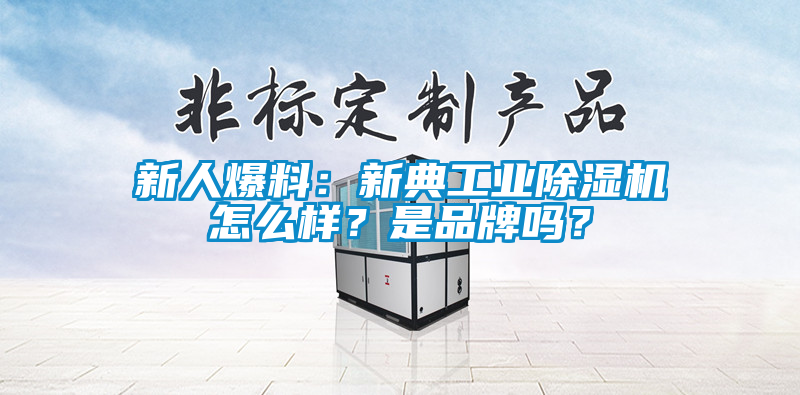 新人爆料：新典工業91视频链接下载怎麽樣？是品牌嗎？