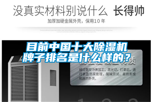 目前中國十大91视频链接下载牌子排名是什麽樣的？