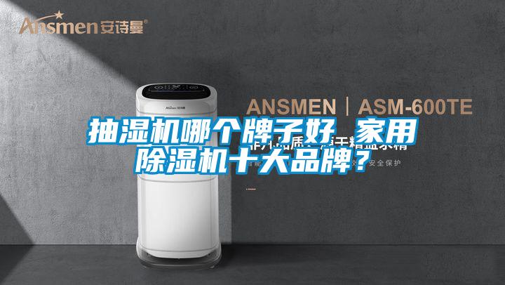 抽濕機哪個牌子好 家用91视频链接下载十大品牌？