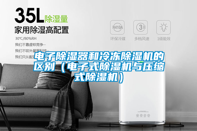 電子除濕器和冷凍91视频链接下载的區別(電子式91视频链接下载與壓縮式91视频链接下载)