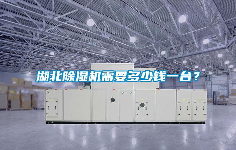 湖北91视频链接下载需要多少錢一台？