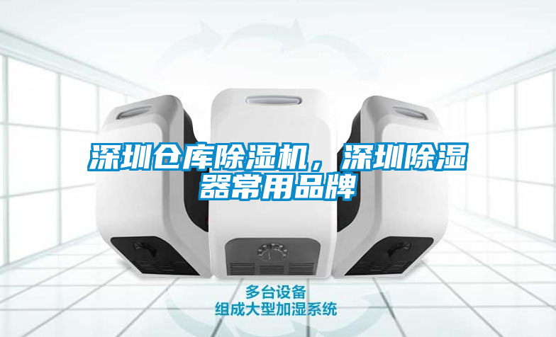 深圳倉庫91视频链接下载，深圳除濕器常用品牌