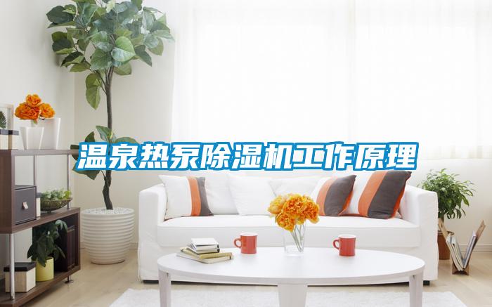 溫泉熱泵91视频链接下载工作原理