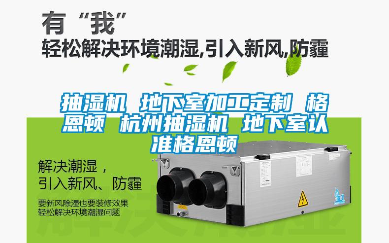 抽濕機 地下室加工定製 格恩頓 杭州抽濕機 地下室認準格恩頓