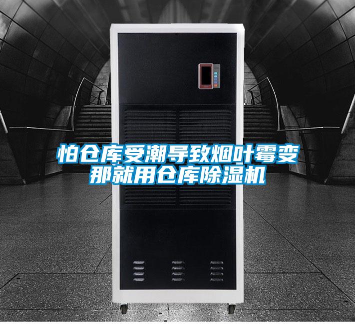 怕倉庫受潮導致煙葉黴變那就用倉庫91视频链接下载