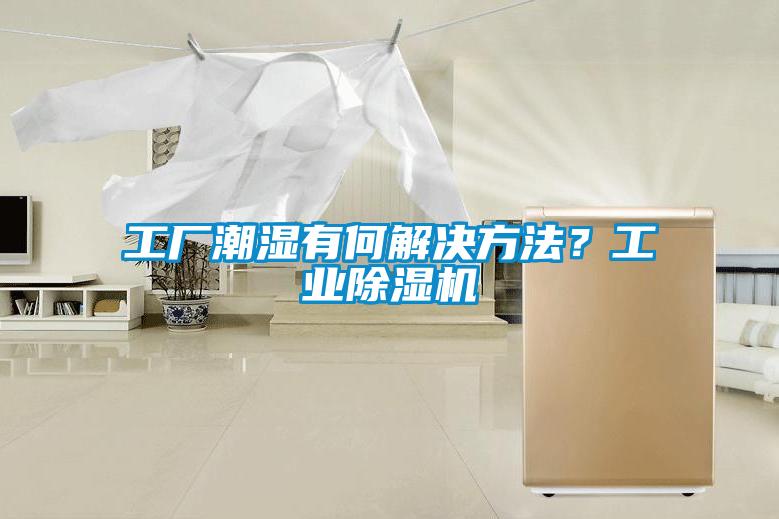 工廠潮濕有何解決方法？工業91视频链接下载