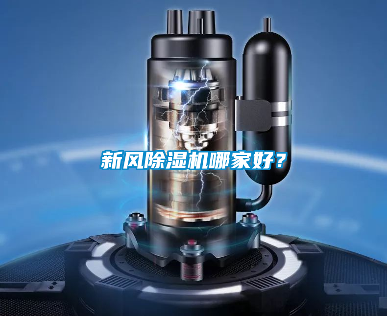 新風91视频链接下载哪家好？