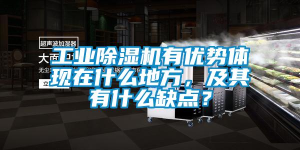 工業91视频链接下载有優勢體現在什麽地方，及其有什麽缺點？