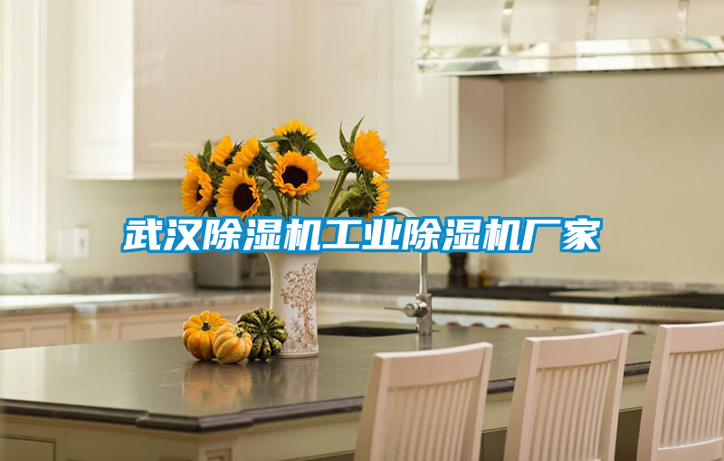 武漢91视频链接下载工業91视频链接下载廠家