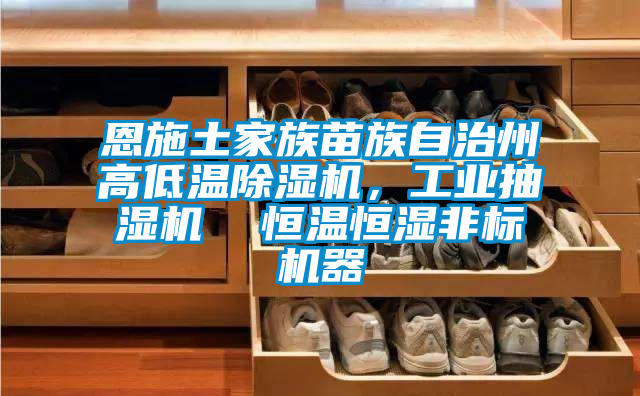 恩施土家族苗族自治州高低溫91视频链接下载，工業抽濕機  恒溫恒濕非標機器