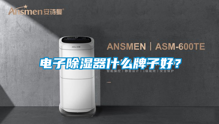 電子除濕器什麽牌子好？