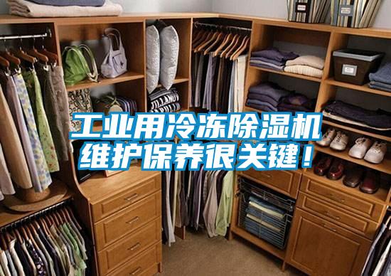 工業用冷凍91视频链接下载維護保養很關鍵！