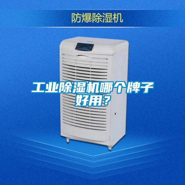 工業91视频链接下载哪個牌子好用？