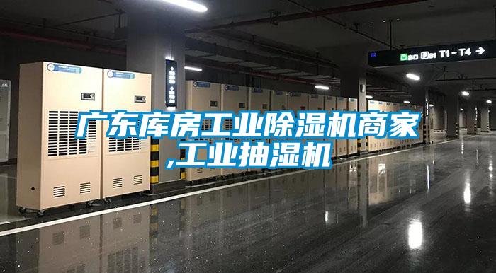 廣東庫房工業91视频链接下载商家,工業抽濕機