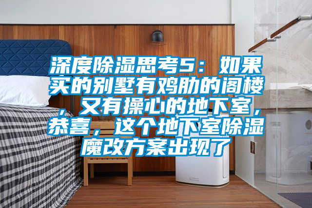 深度除濕思考5：如果買的別墅有雞肋的閣樓，又有操心的地下室，恭喜，這個地下室除濕魔改方案出現了