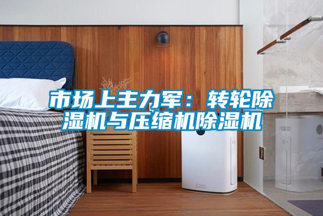 市場上主力軍：轉輪91视频链接下载與壓縮機91视频链接下载