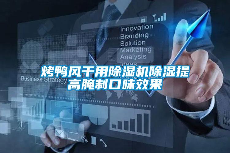 烤鴨風幹用91视频链接下载除濕提高醃製口味效果