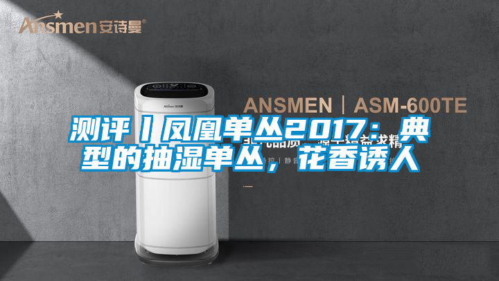 測評丨鳳凰單叢2017：典型的抽濕單叢，花香誘人