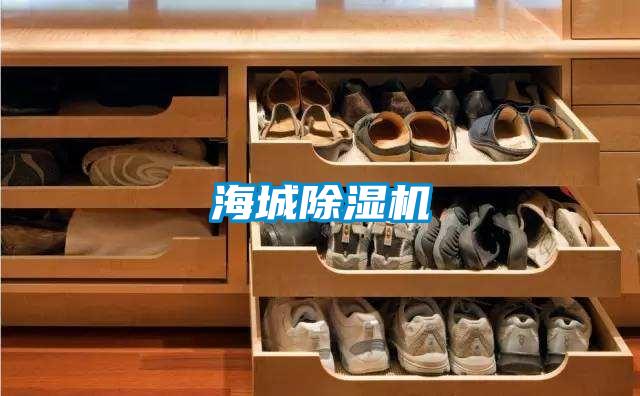 海城91视频链接下载