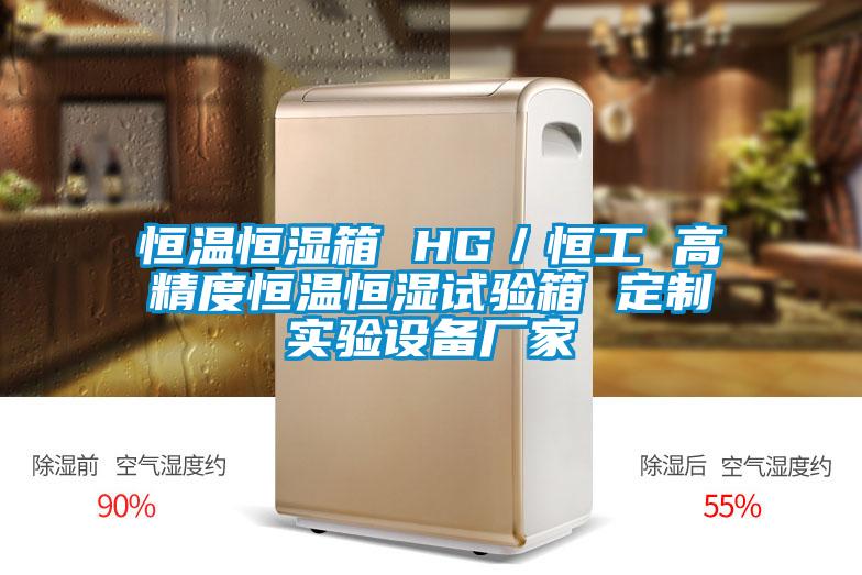 恒溫恒濕箱 HG/恒工 高精度恒溫恒濕試驗箱 定製實驗設備廠家