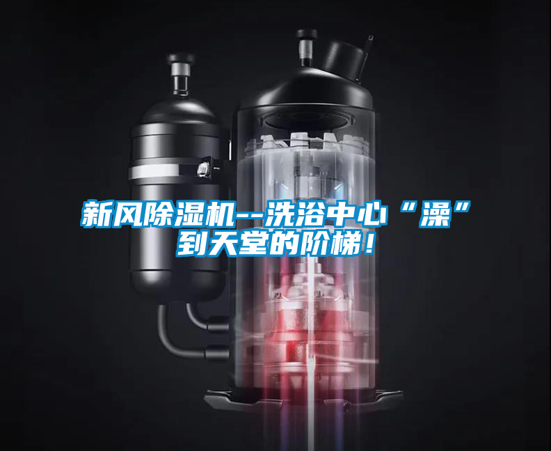 新風91视频链接下载--洗浴中心“澡”到天堂的階梯！