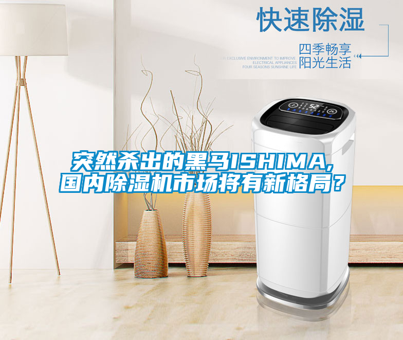 突然殺出的黑馬ISHIMA,國內91视频链接下载市場將有新格局？