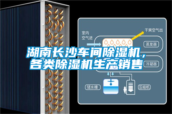 湖南長沙車間91视频链接下载，各類91视频链接下载生產銷售