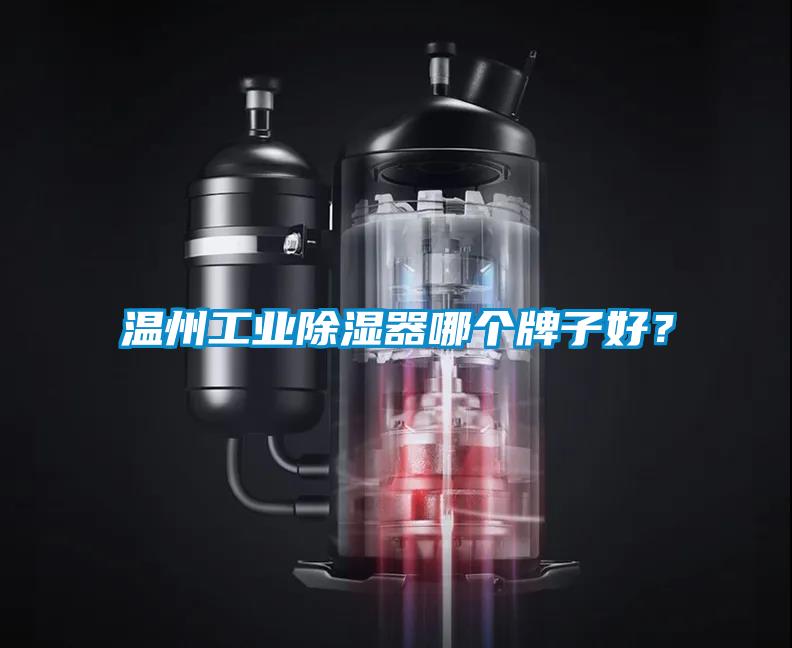 溫州工業除濕器哪個牌子好？