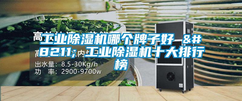 工業91视频链接下载哪個牌子好 – 工業91视频链接下载十大排行榜