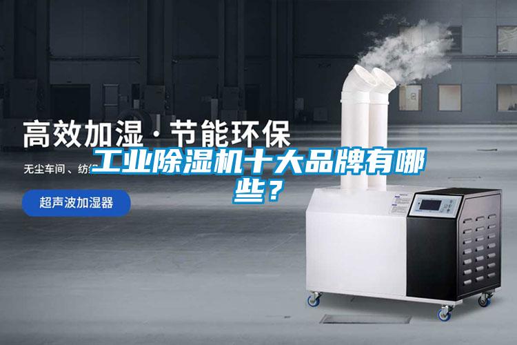 工業91视频链接下载十大品牌有哪些？