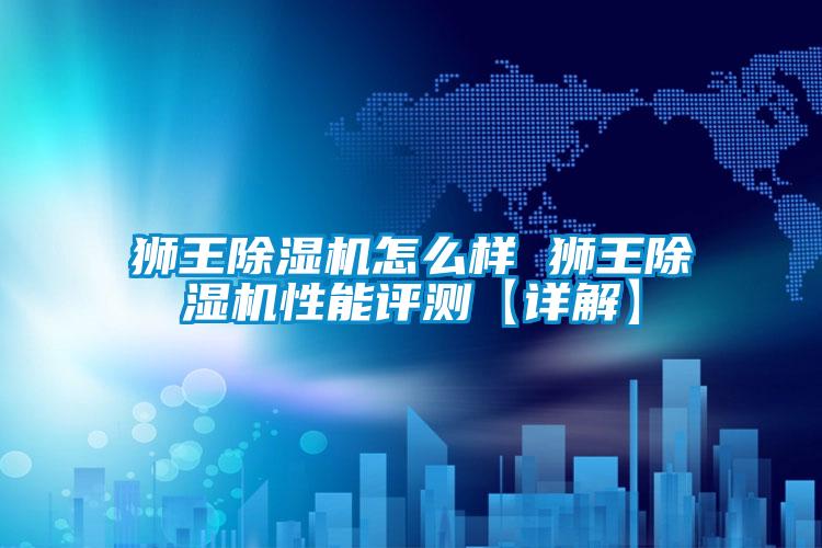 獅王91视频链接下载怎麽樣 獅王91视频链接下载性能評測【詳解】