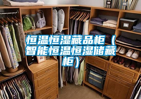 恒溫恒濕藏品櫃(智能恒溫恒濕儲藏櫃)