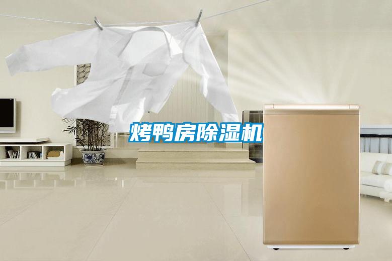 烤鴨房91视频链接下载