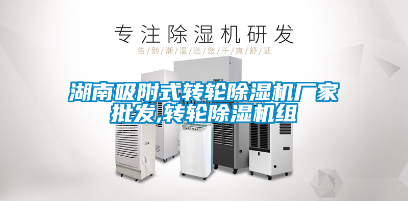 湖南吸附式轉輪91视频链接下载廠家批發,轉輪91视频链接下载組