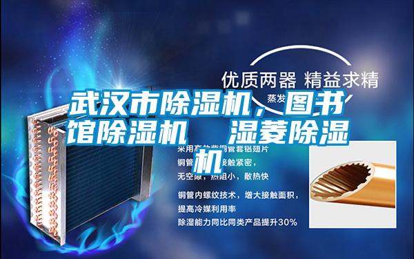 武漢市91视频链接下载，圖書館91视频链接下载  濕菱91视频链接下载