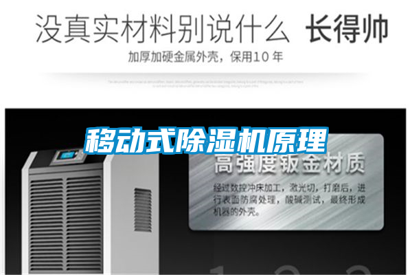 移動式91视频链接下载原理