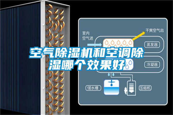 空氣91视频链接下载和空調除濕哪個效果好