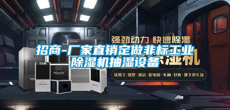 招商-廠家直銷定做非標工業91视频链接下载抽濕設備