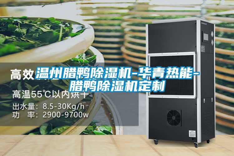 溫州臘鴨91视频链接下载-華青熱能-臘鴨91视频链接下载定製