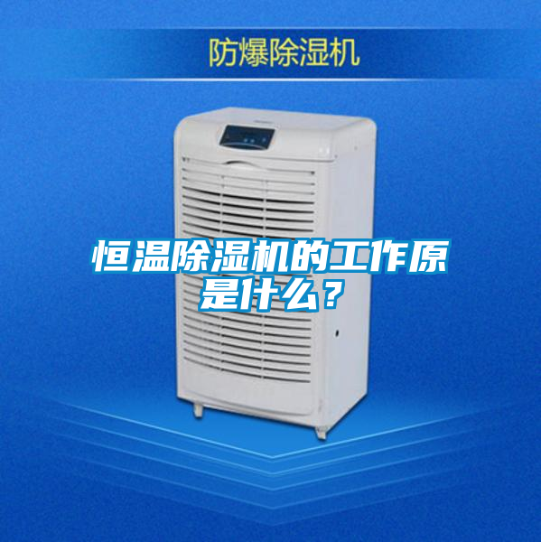 恒溫91视频链接下载的工作原是什麽？