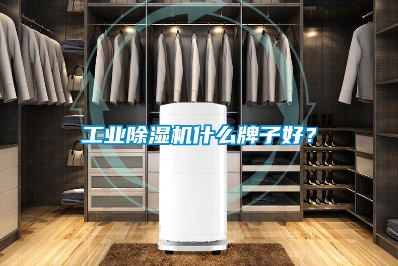 工業91视频链接下载什麽牌子好？