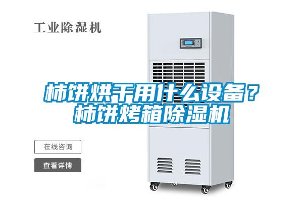 柿餅烘幹用什麽設備？柿餅烤箱91视频链接下载