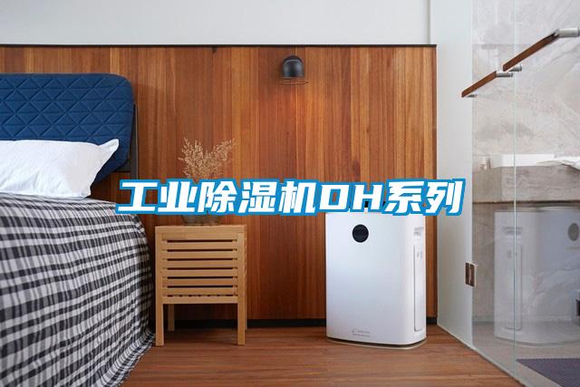 工業91视频链接下载DH係列