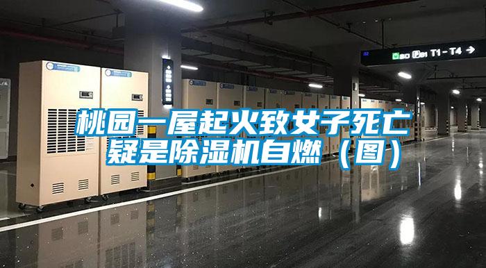 桃園一屋起火致女子死亡 疑是91视频链接下载自燃(圖)